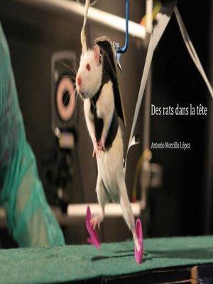 cover image of Des rats dans la tête